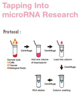 microrna extraction kit.